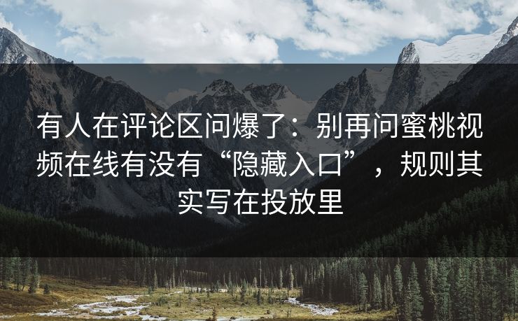 有人在评论区问爆了：别再问蜜桃视频在线有没有“隐藏入口”，规则其实写在投放里
